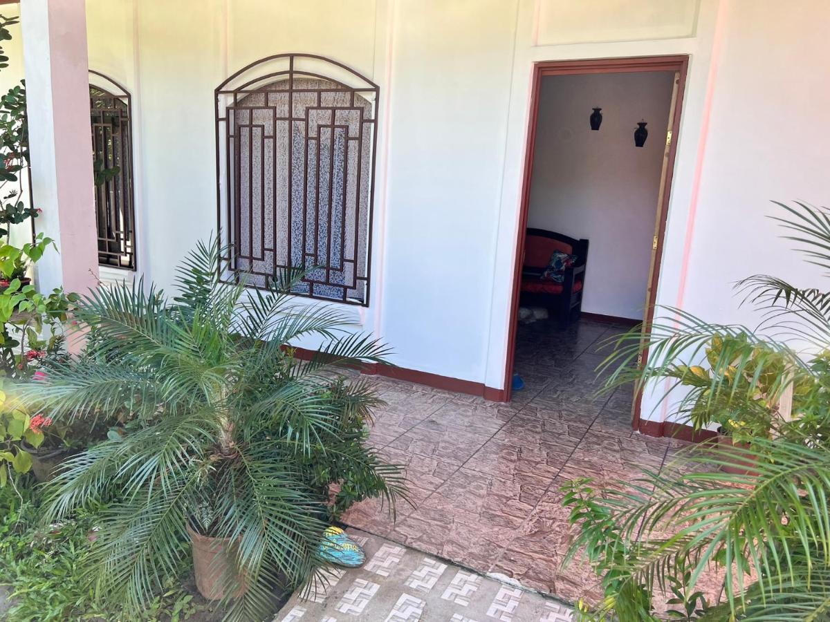טורטוגוארו Natural Experience House מראה חיצוני תמונה