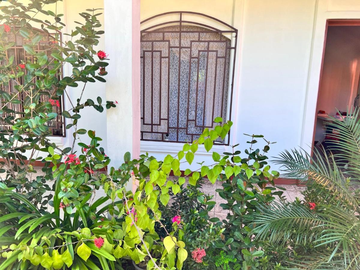 טורטוגוארו Natural Experience House מראה חיצוני תמונה