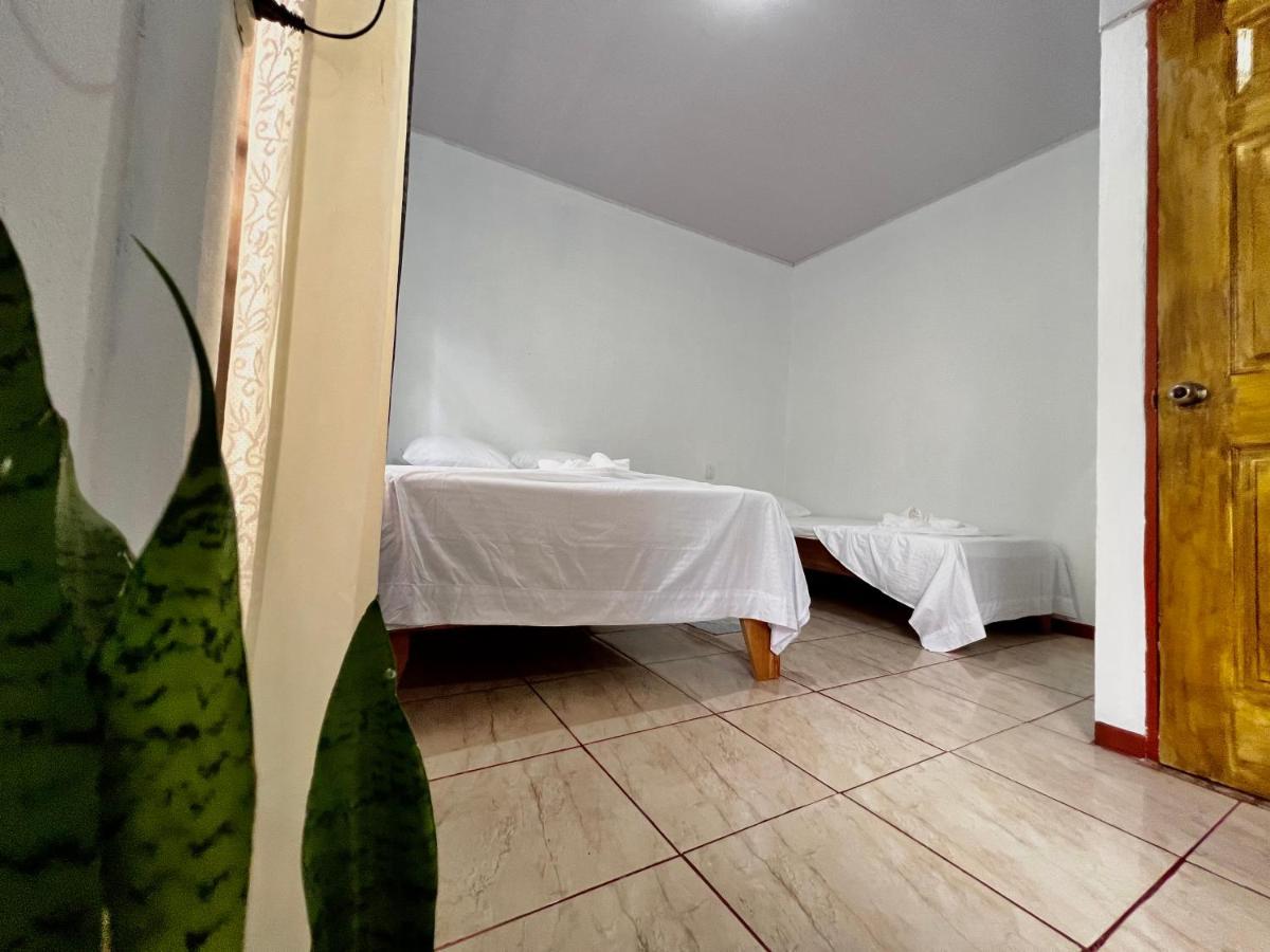 טורטוגוארו Natural Experience House מראה חיצוני תמונה