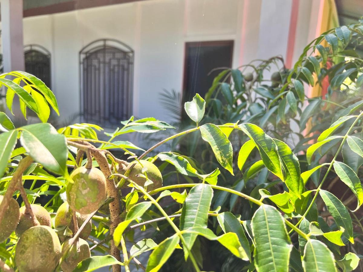 טורטוגוארו Natural Experience House מראה חיצוני תמונה