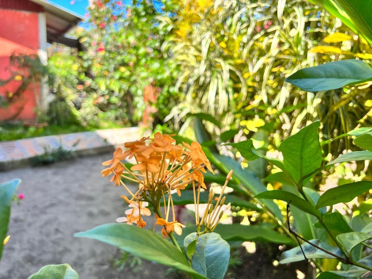 טורטוגוארו Natural Experience House מראה חיצוני תמונה