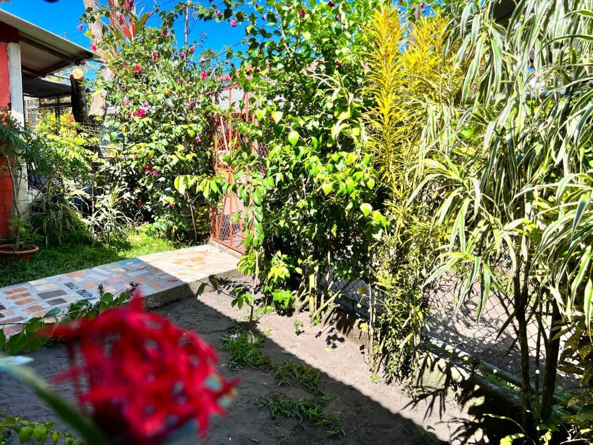 טורטוגוארו Natural Experience House מראה חיצוני תמונה