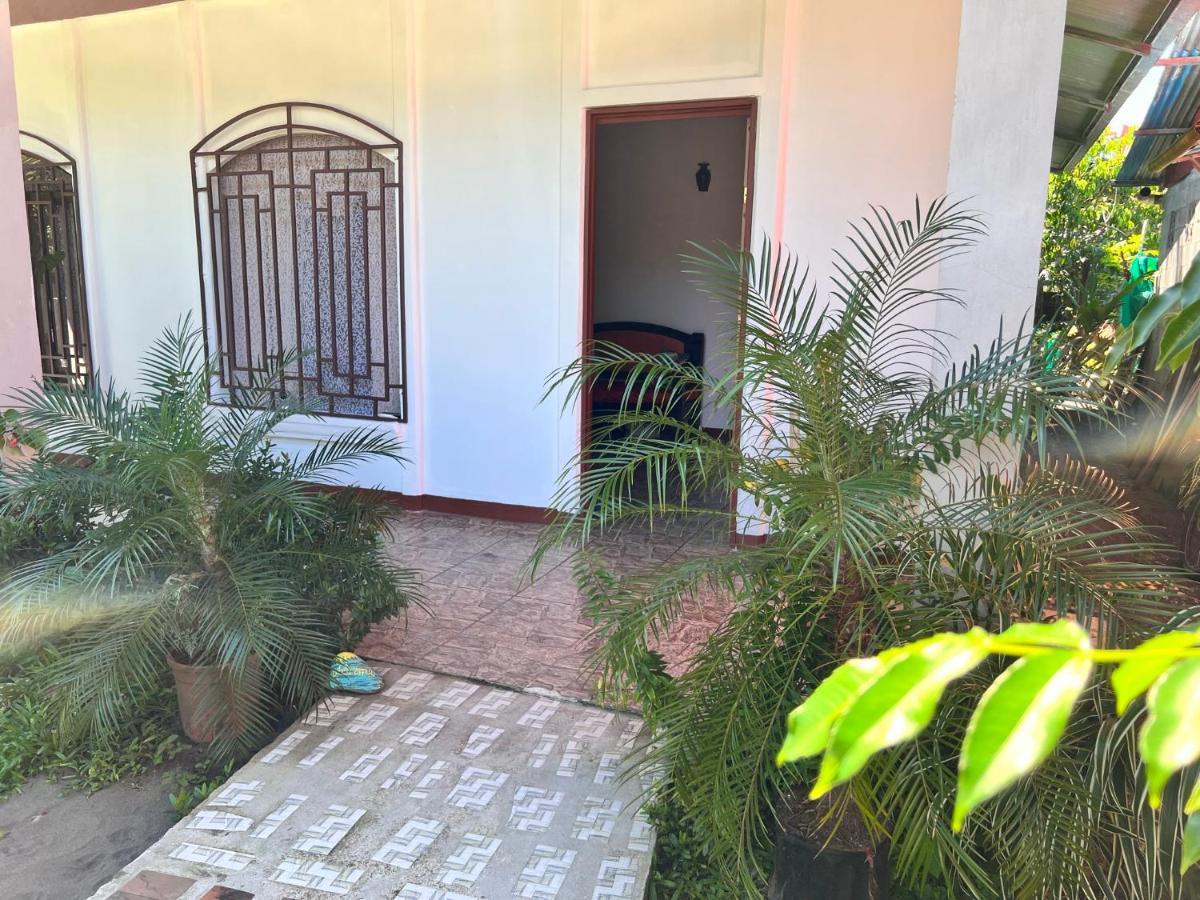 טורטוגוארו Natural Experience House מראה חיצוני תמונה